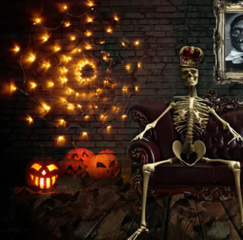 LED Spider Net Halloween Light™